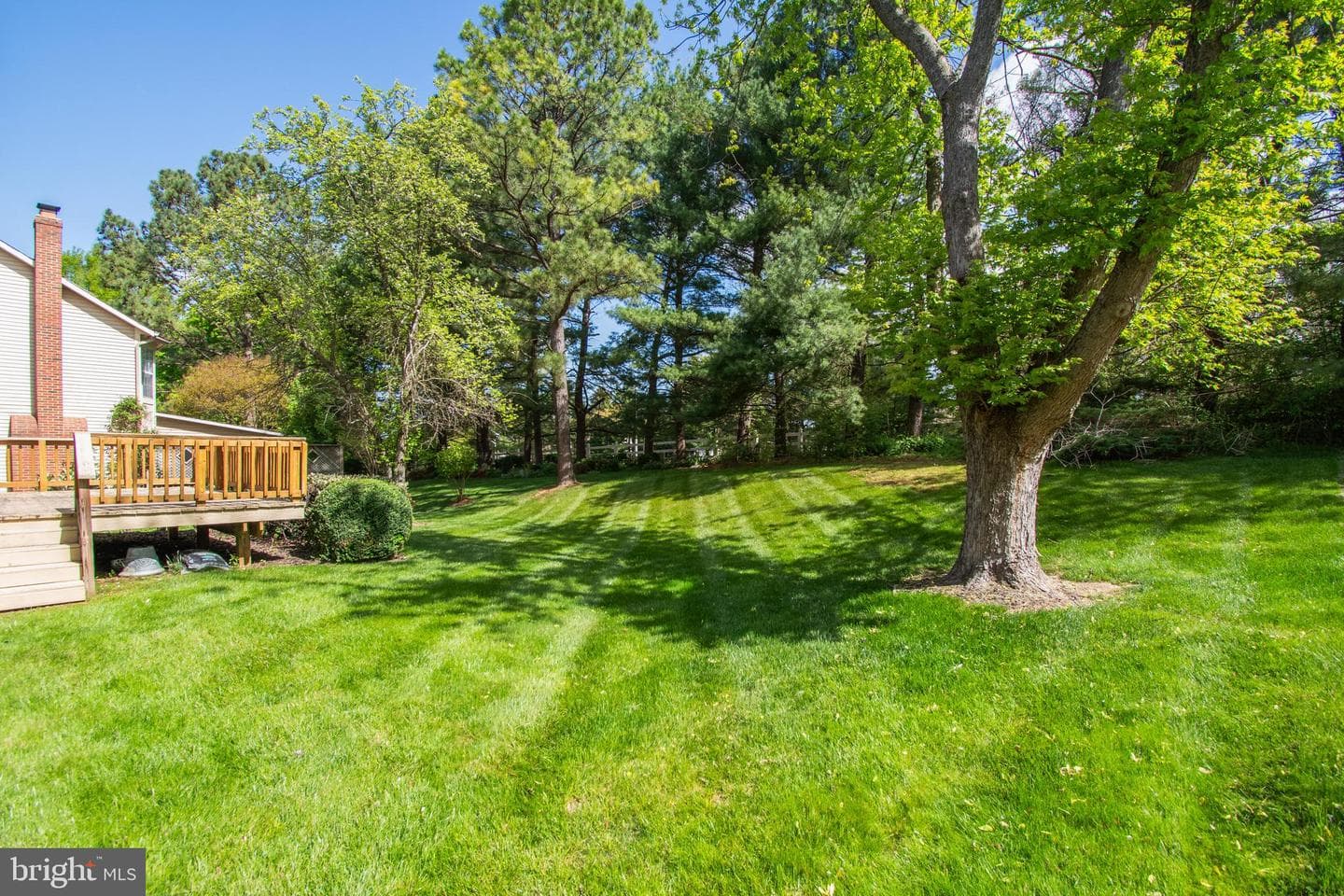 121 Bookham Lane photo 37