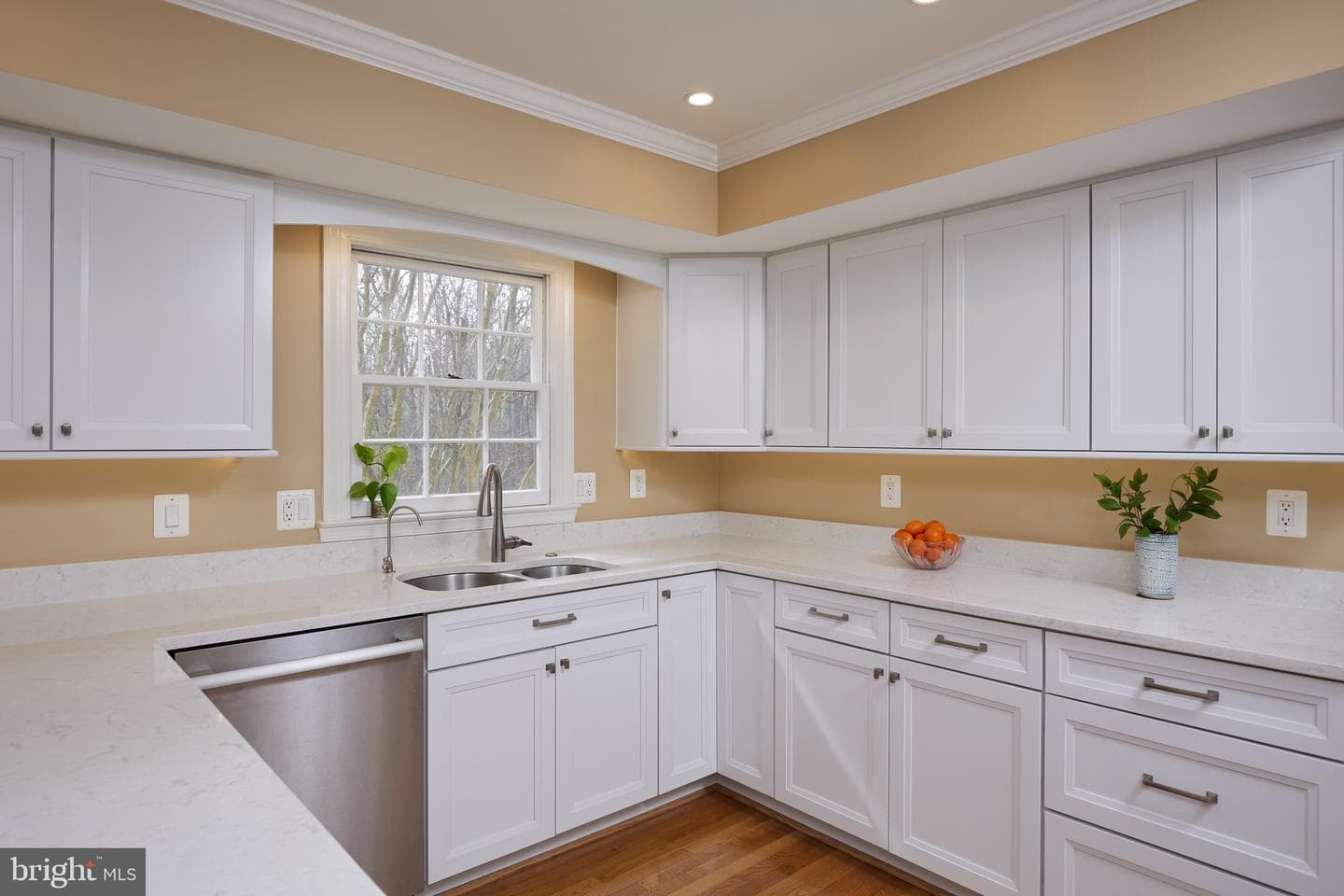 13204 Moran Drive photo 47