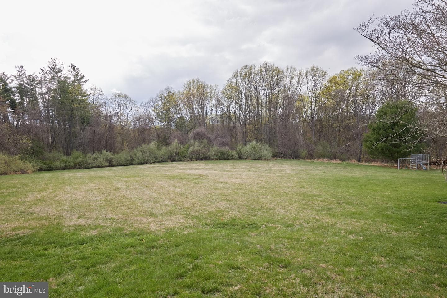 13204 Moran Drive photo 56