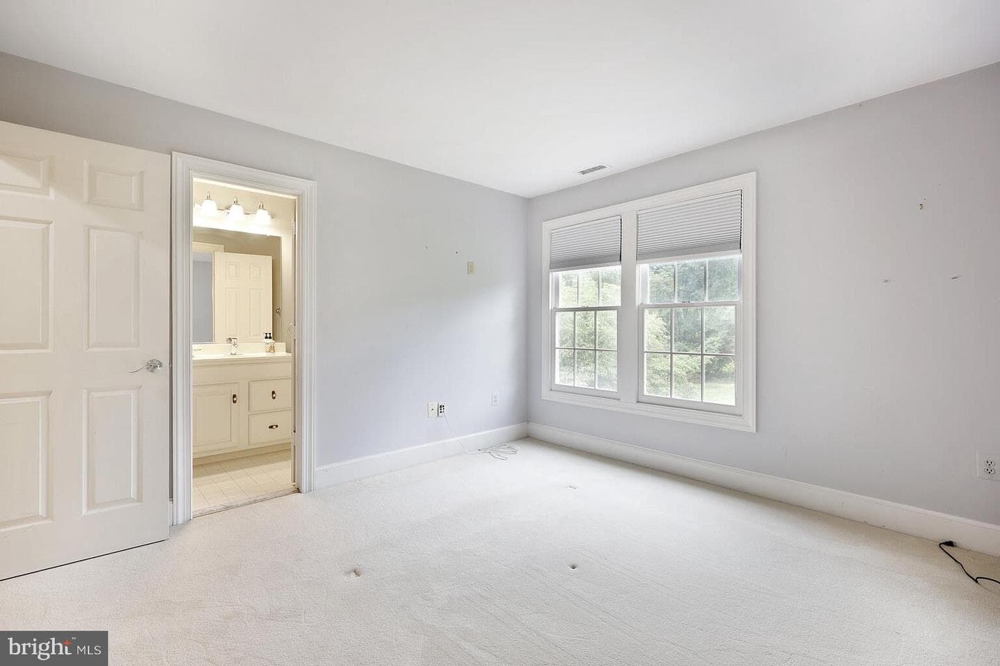 13549 Potomac Riding Lane photo 57