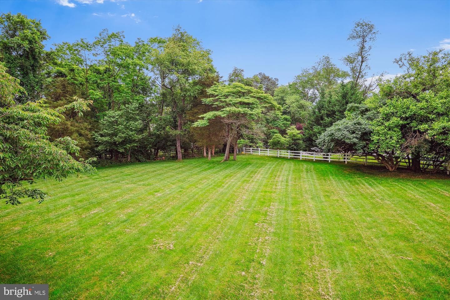 13549 Potomac Riding Lane photo 81