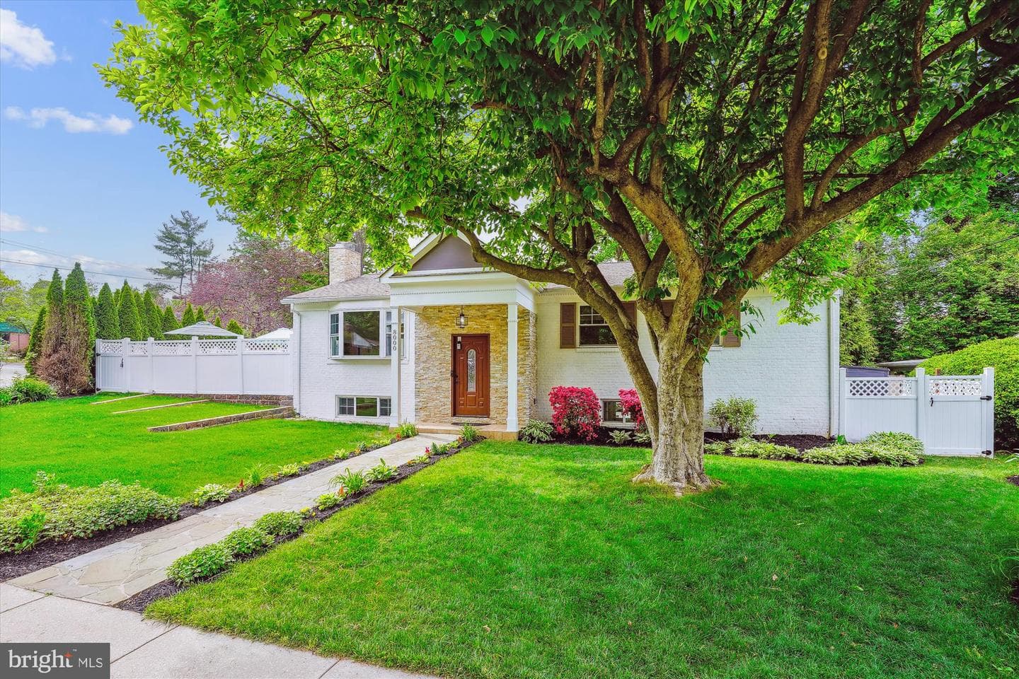 8000 Beech Tree Road photo 3