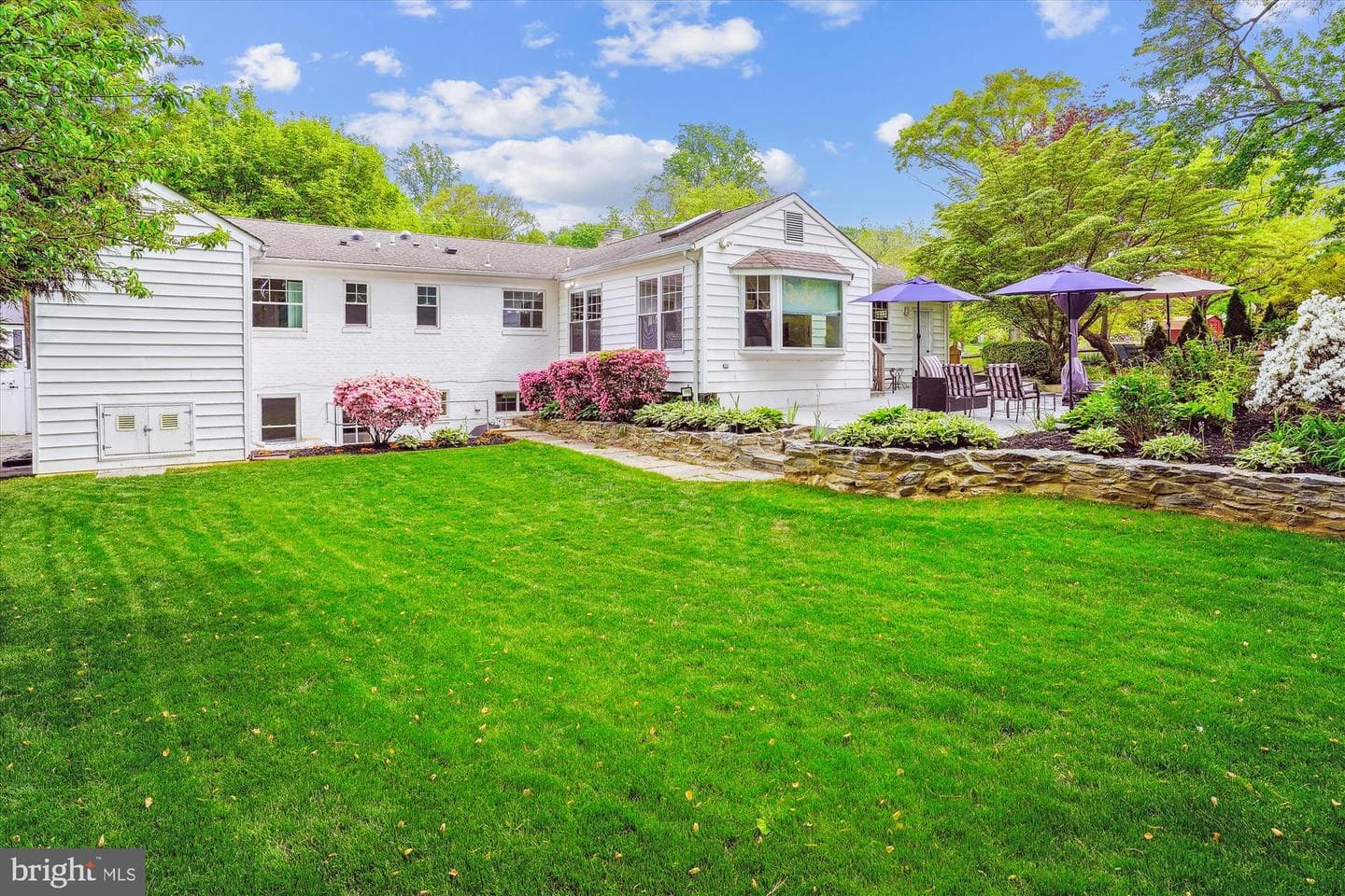 8000 Beech Tree Road photo 5