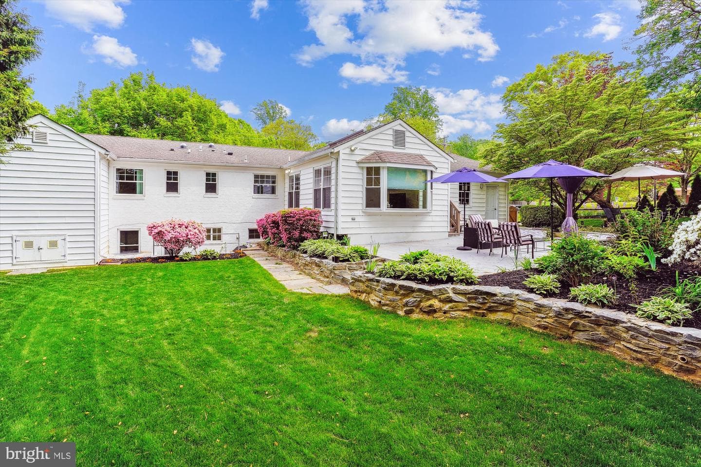 8000 Beech Tree Road photo 6