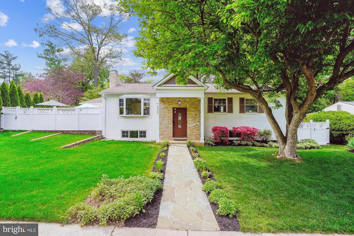 8000 Beech Tree Road photo 63