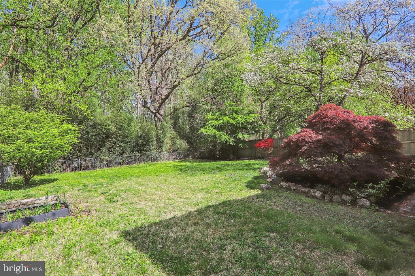 11501 Ashley Drive photo 20
