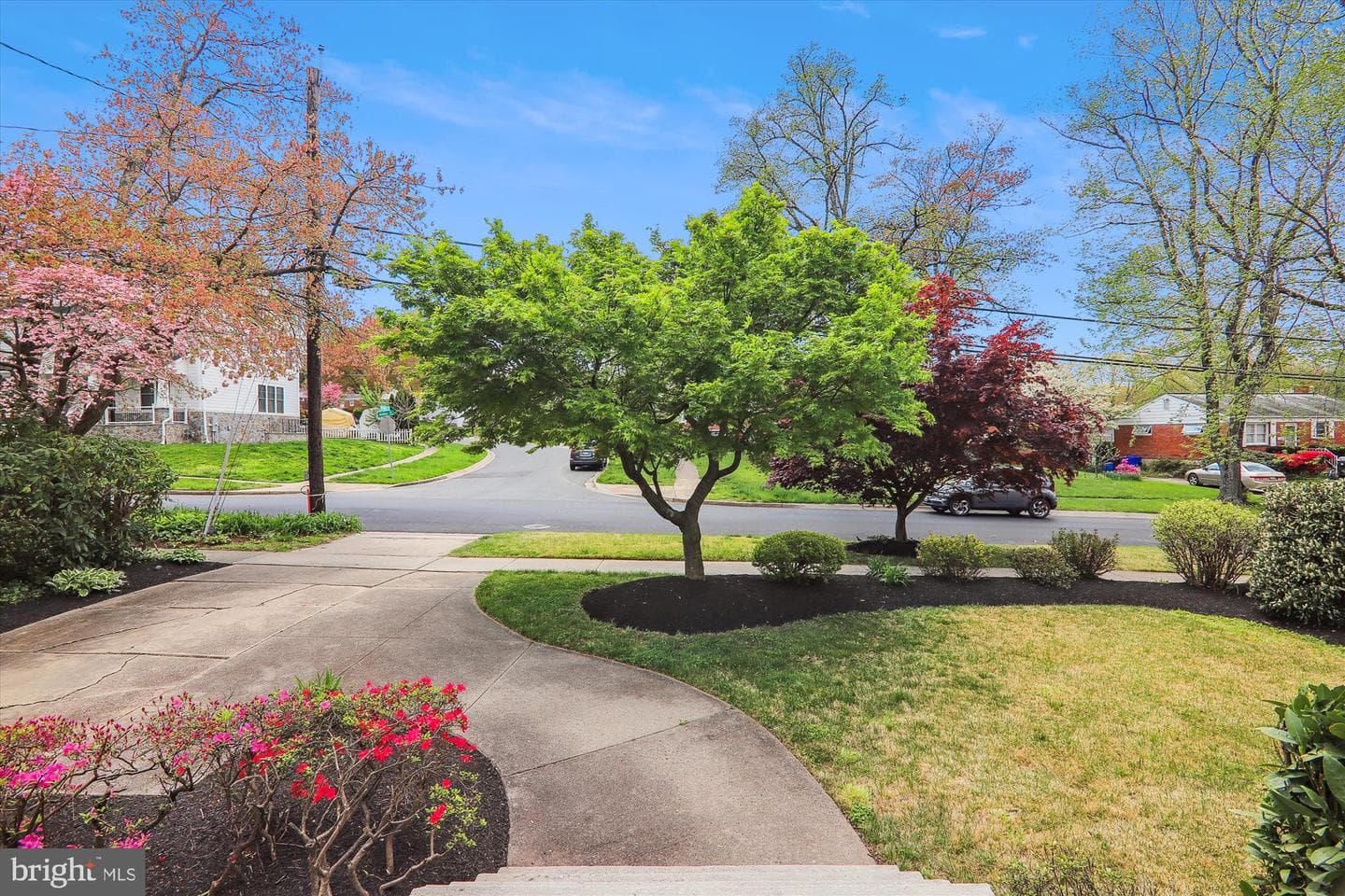 11501 Ashley Drive photo 3