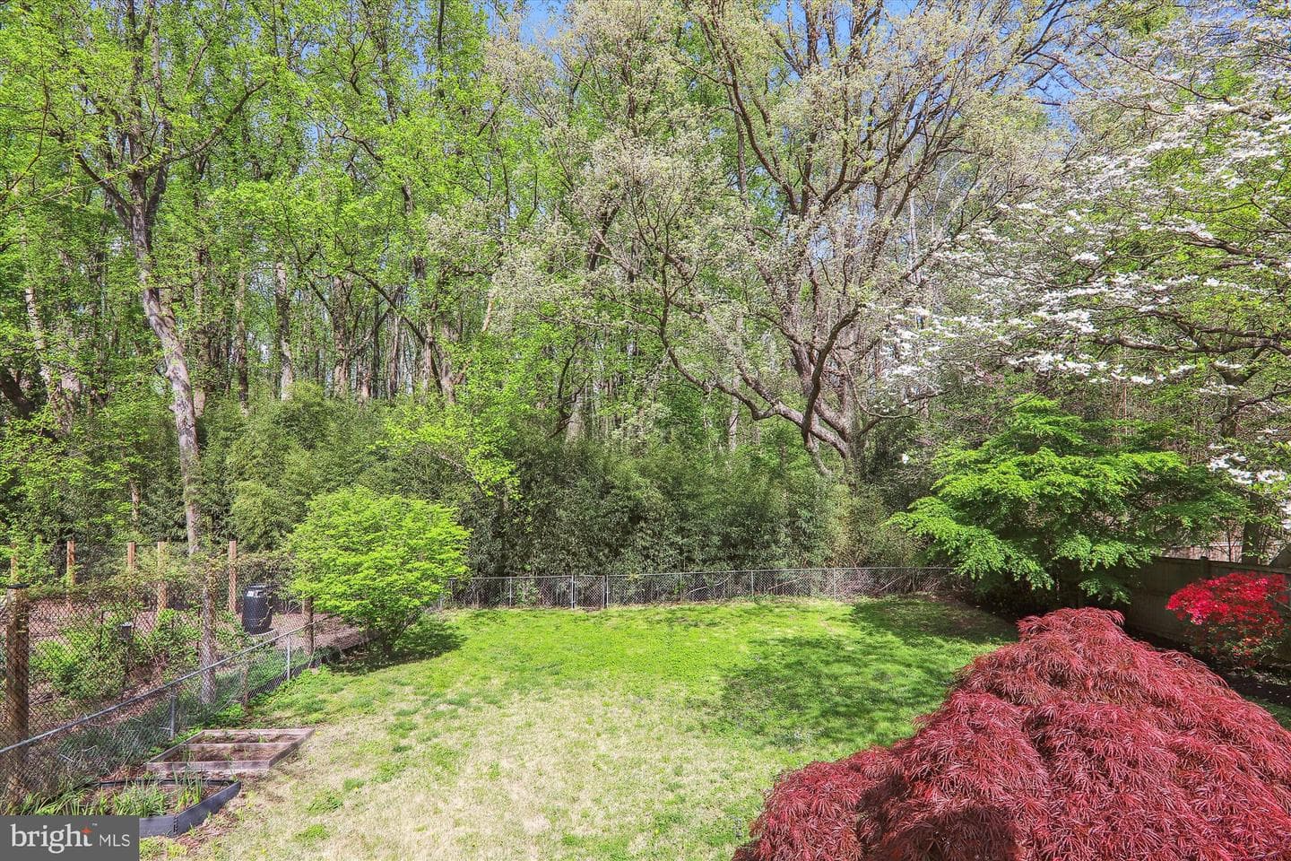 11501 Ashley Drive photo 38