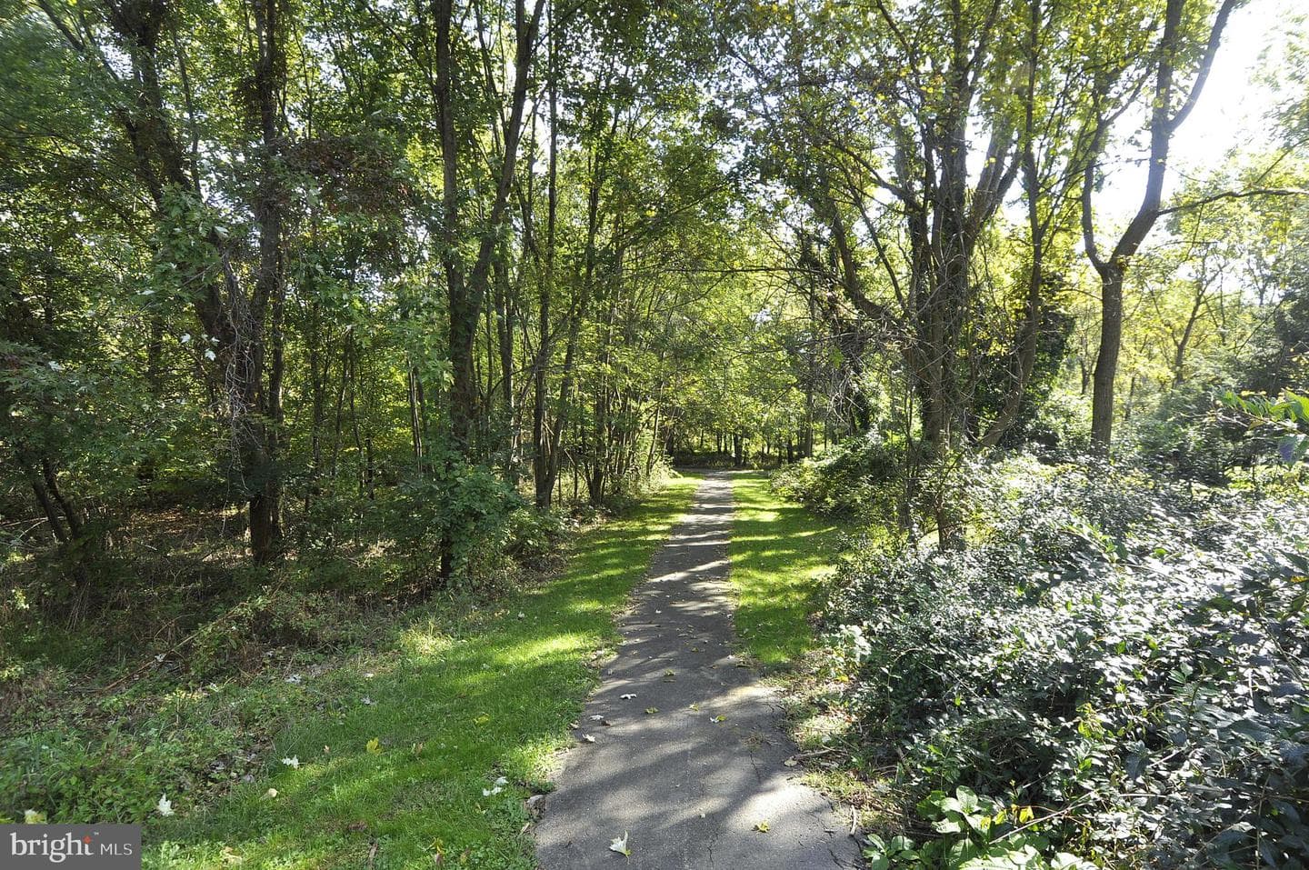 9 Barclay Court photo 34