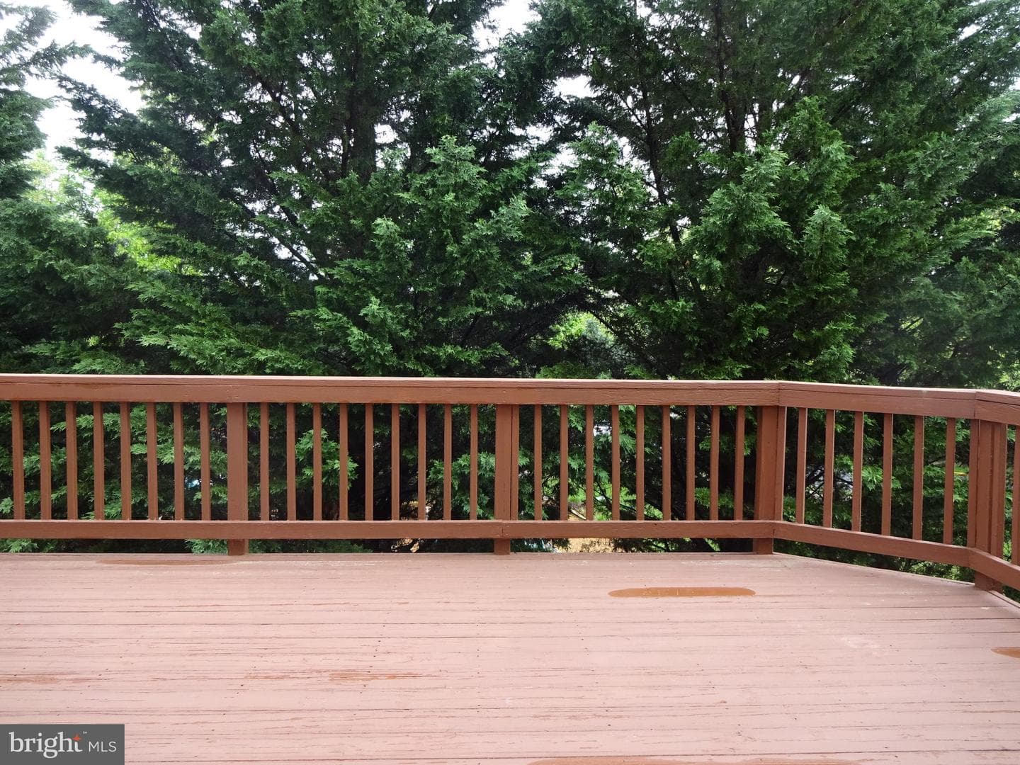 8240 Ironclad Court photo 16