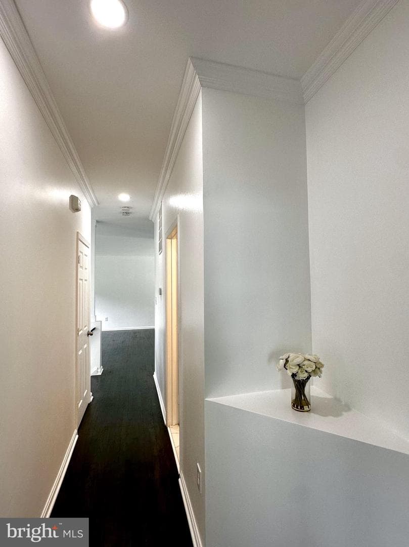 10458 Carlyn Ridge Road photo 19