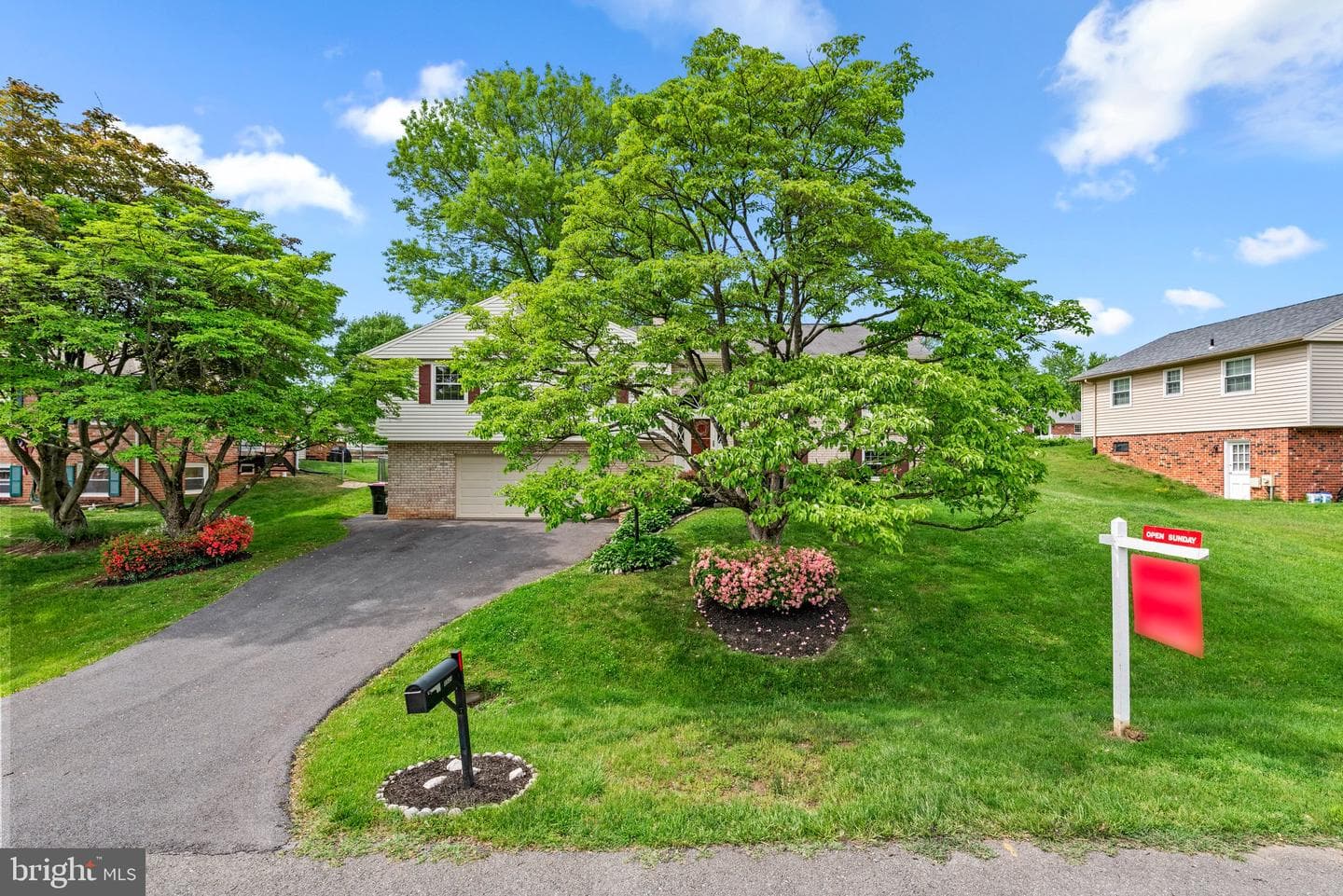 3521 Mount Olney Lane photo 4