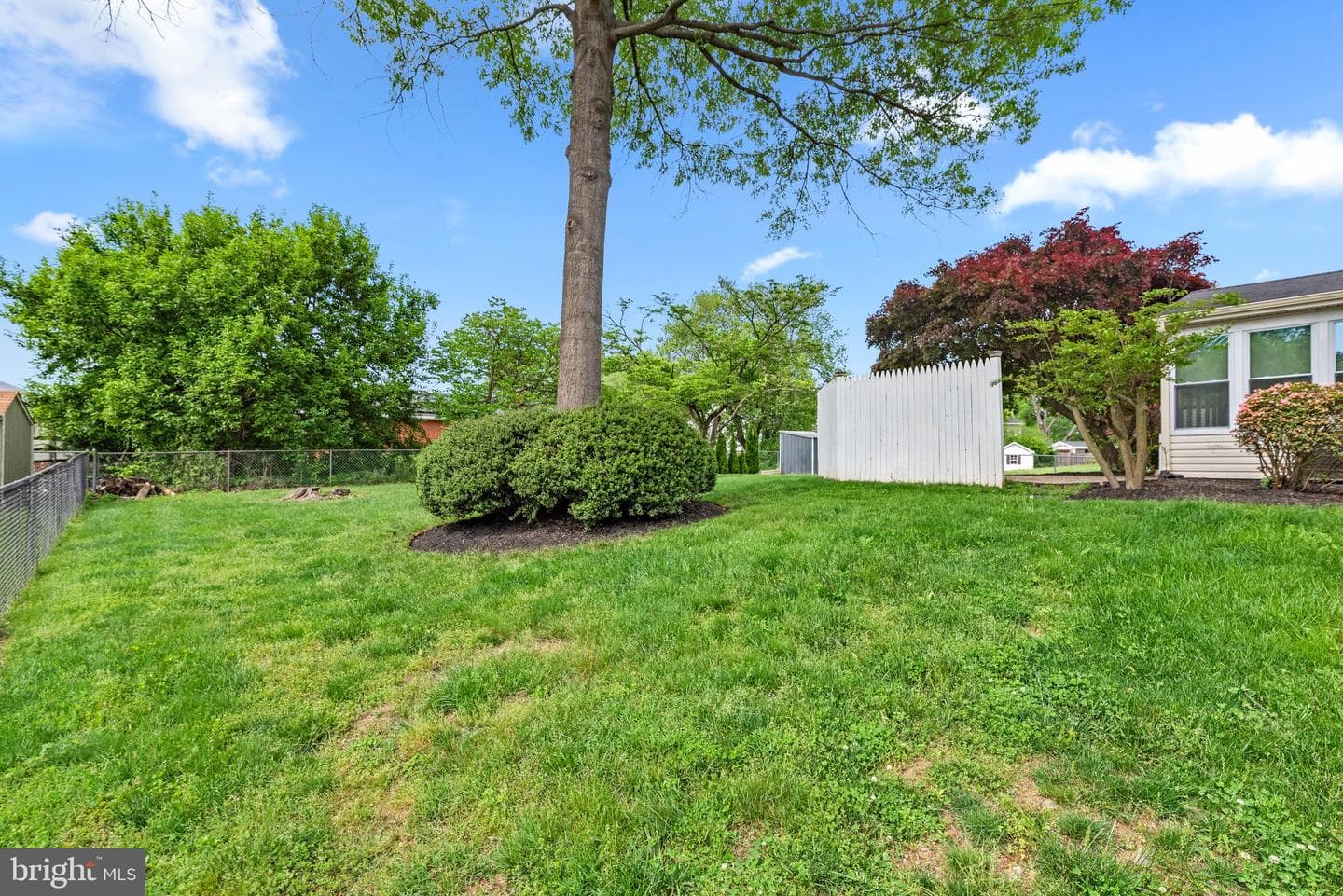 3521 Mount Olney Lane photo 44