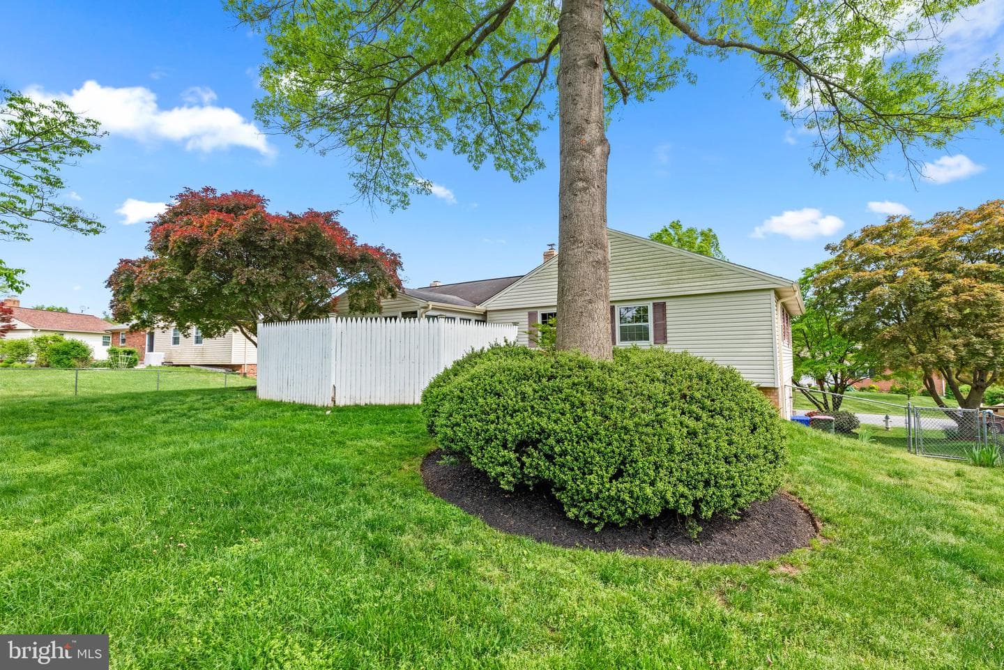 3521 Mount Olney Lane photo 45
