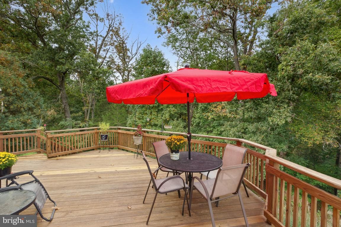 4837 Powder House Drive photo 14