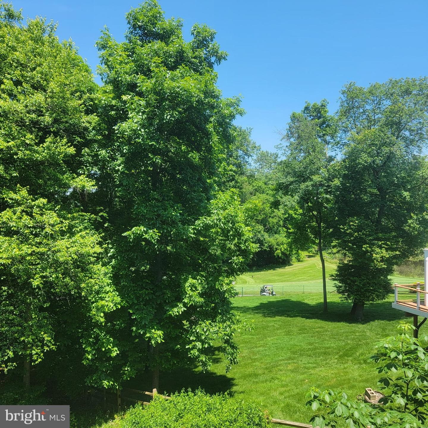 4837 Powder House Drive photo 16