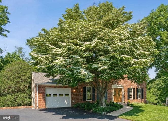4837 Powder House Drive photo 6