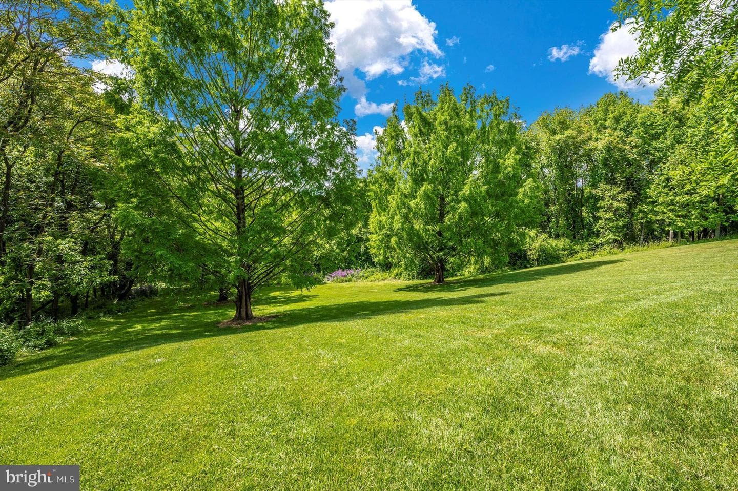 24220 Kings Valley Road photo 87