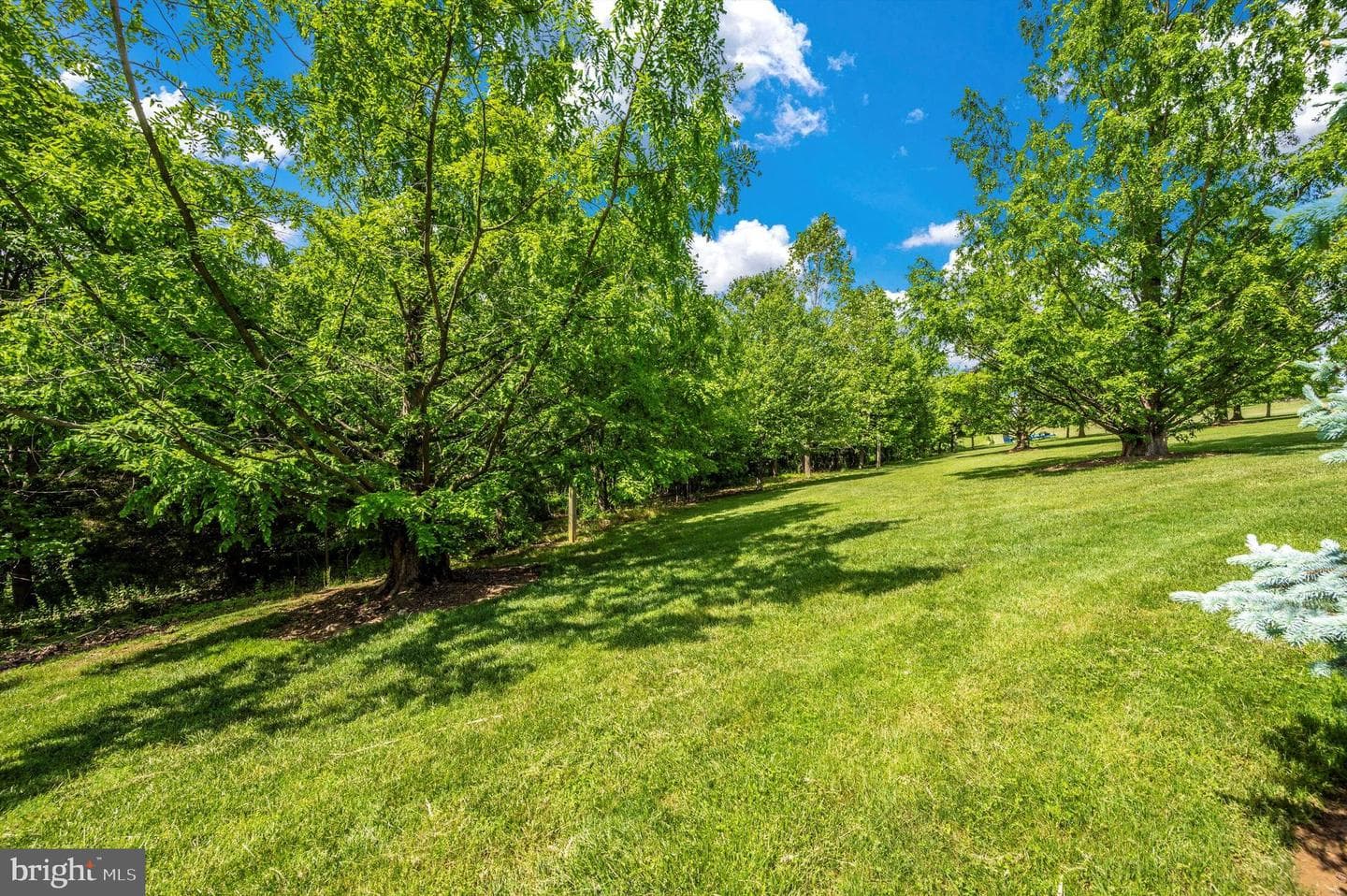 24220 Kings Valley Road photo 93