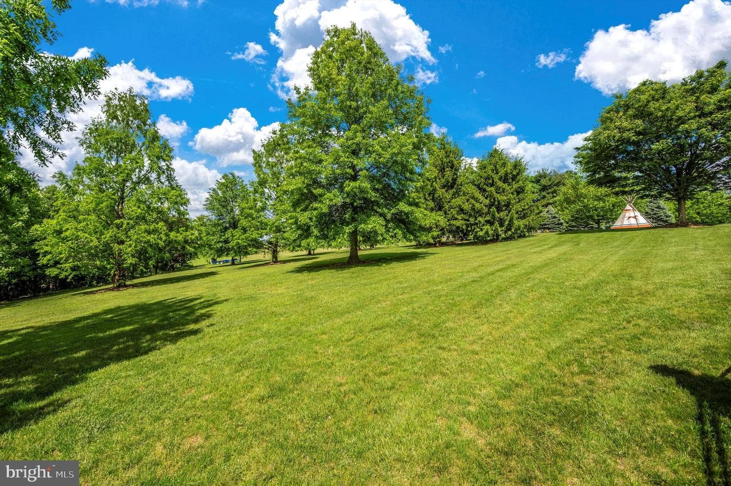 24220 Kings Valley Road photo 95