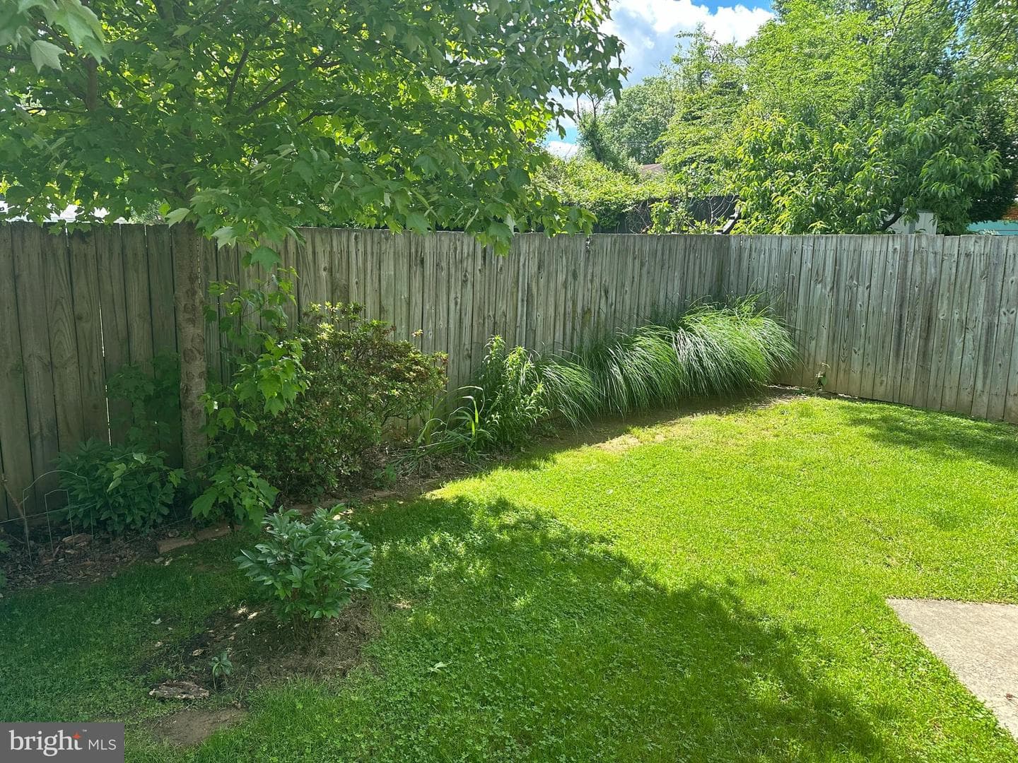 4808 Macon Road photo 9