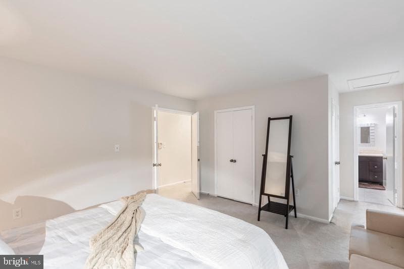13219 Rippling Brook Drive photo 19
