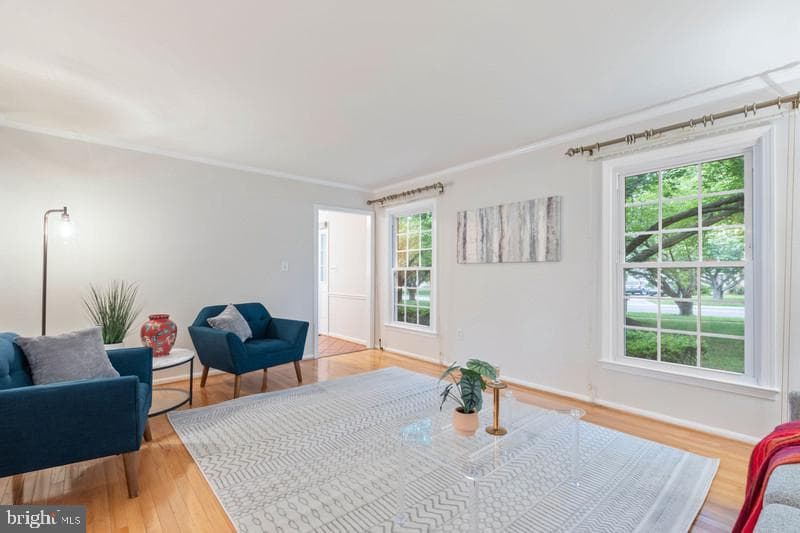 13219 Rippling Brook Drive photo 5
