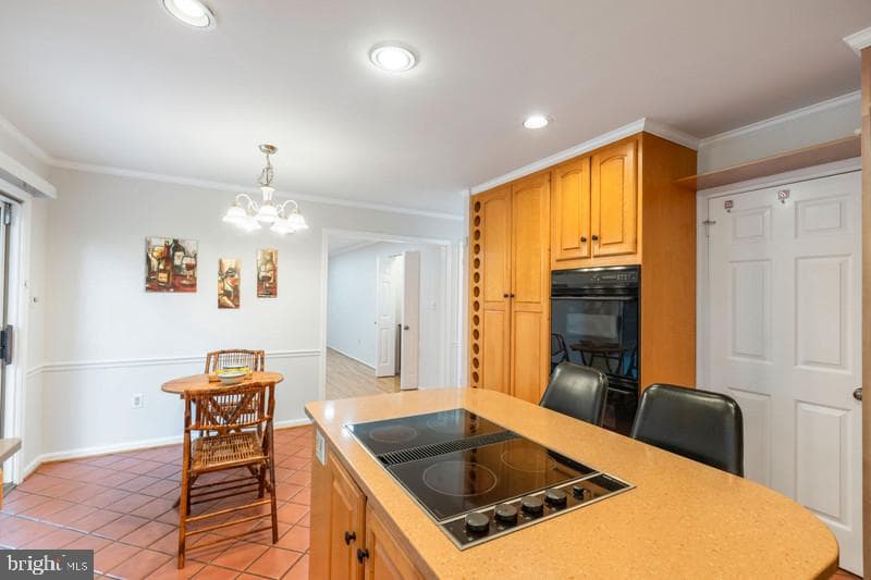 13219 Rippling Brook Drive photo 8