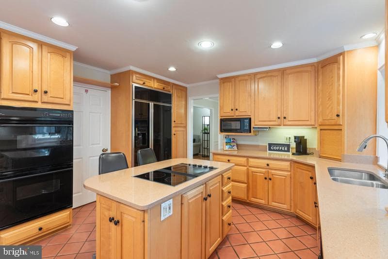 13219 Rippling Brook Drive photo 9