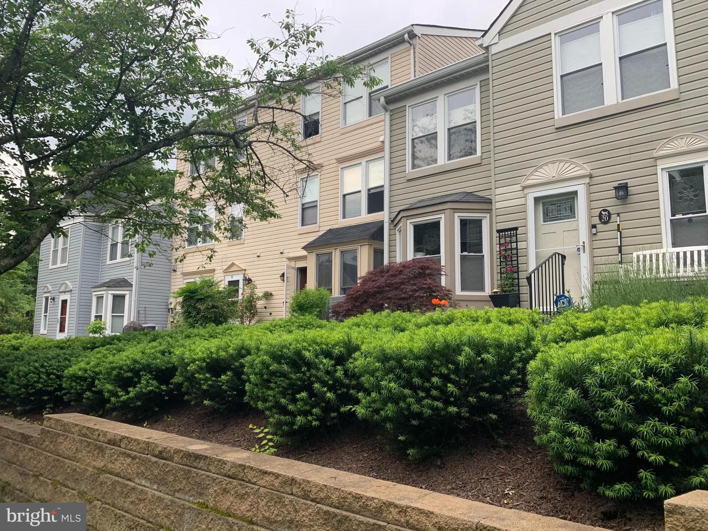 16 Wilcox Court photo 2