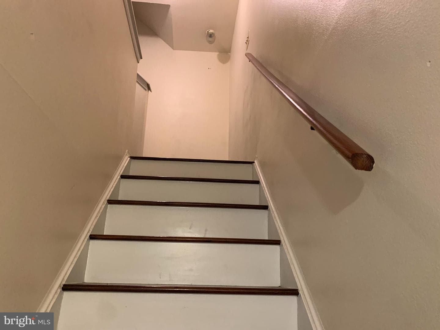 16 Wilcox Court photo 20