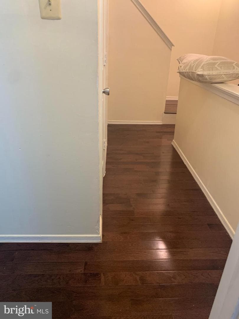 16 Wilcox Court photo 22