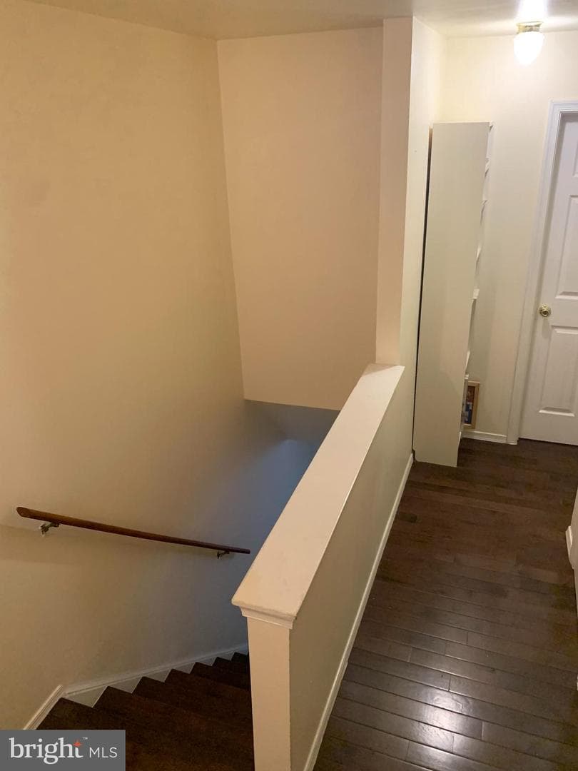16 Wilcox Court photo 23