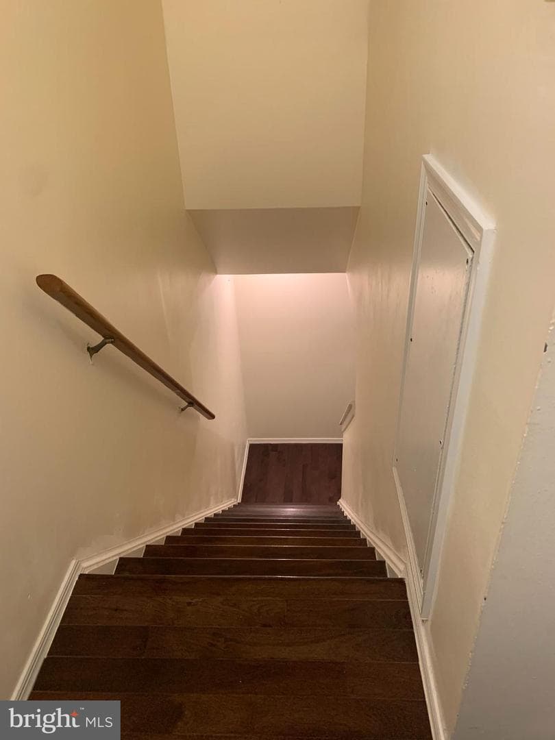 16 Wilcox Court photo 42