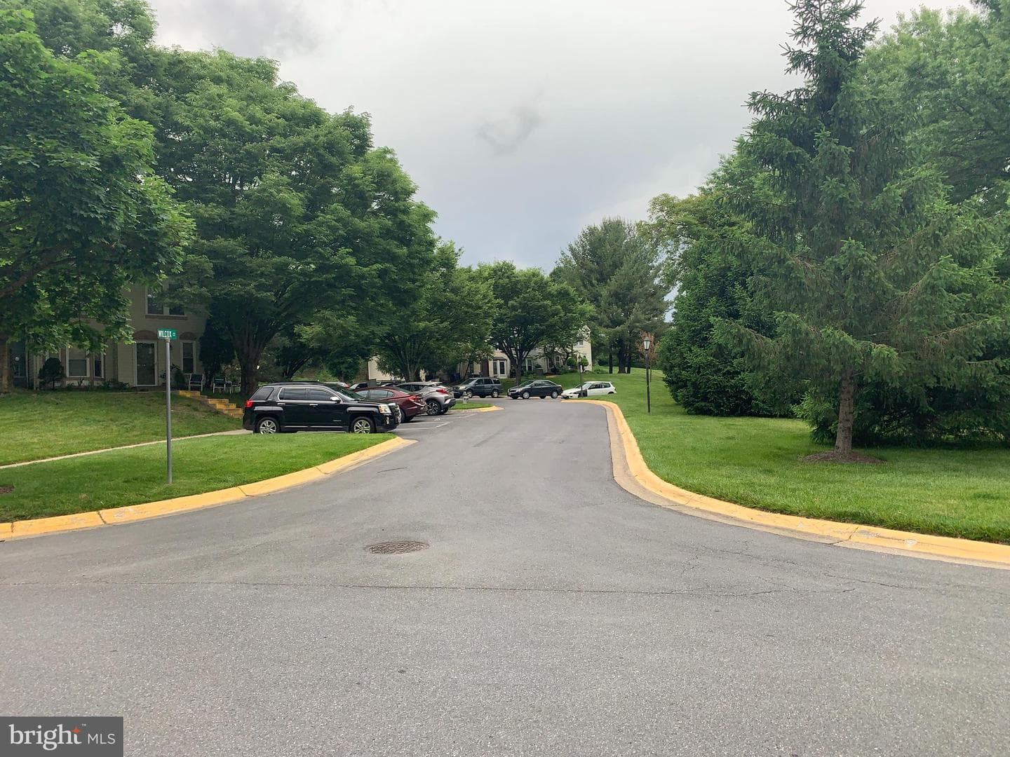 16 Wilcox Court photo 44
