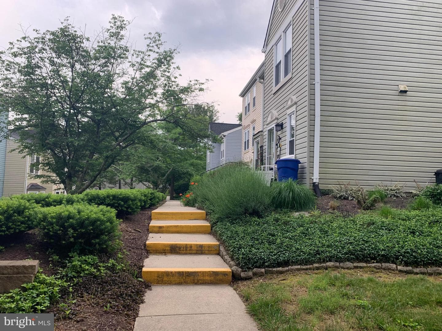 16 Wilcox Court photo 48