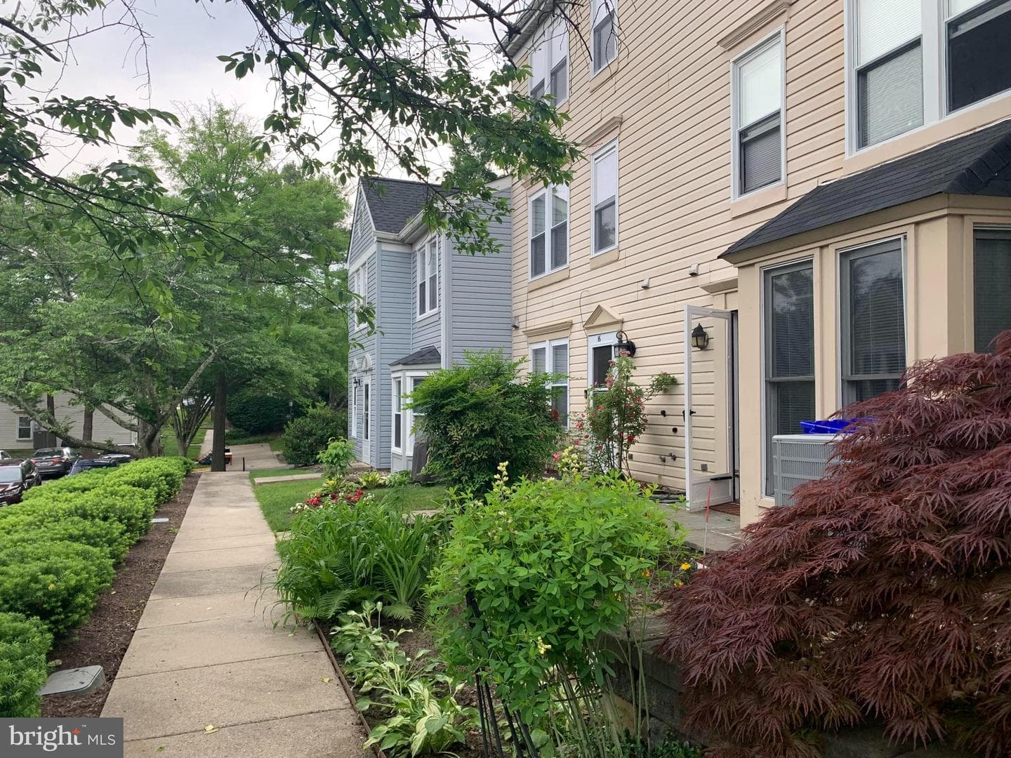 16 Wilcox Court photo 49