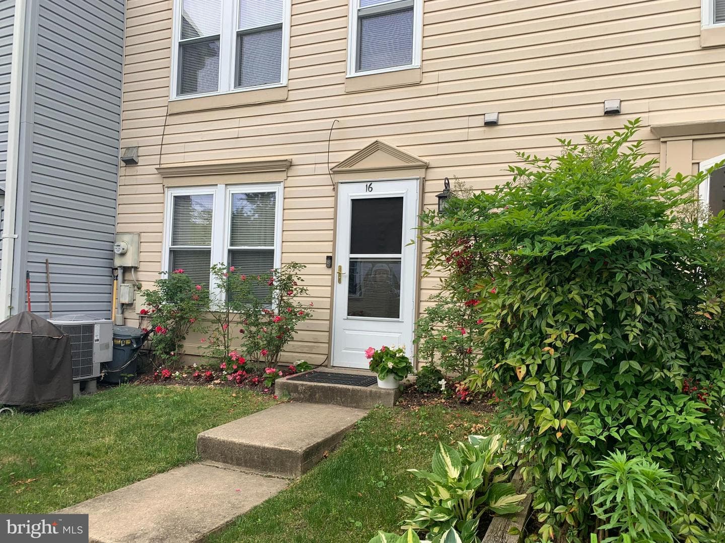 16 Wilcox Court photo 50