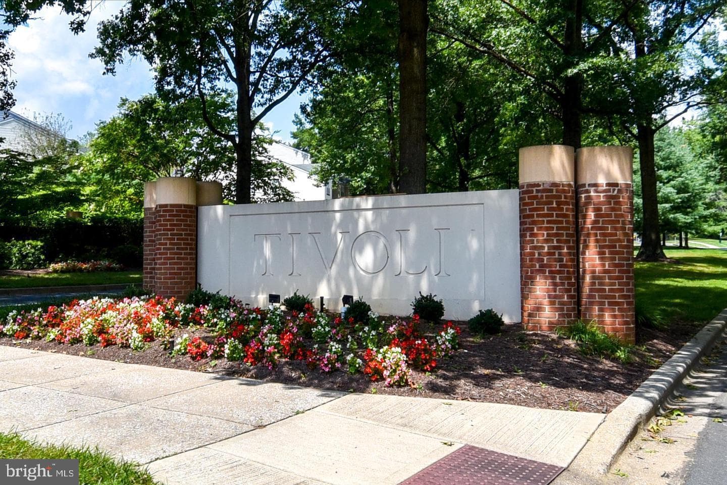 16 Wilcox Court photo 59