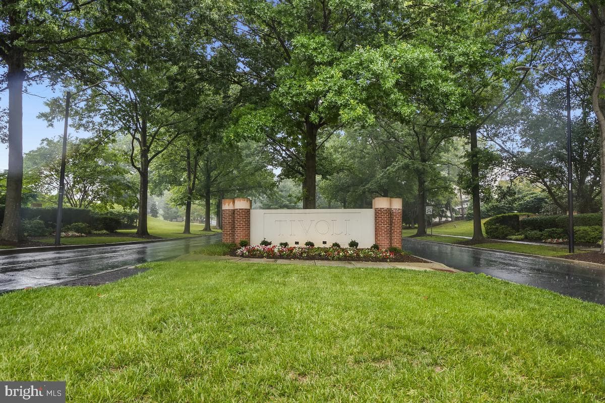 16 Wilcox Court photo 60