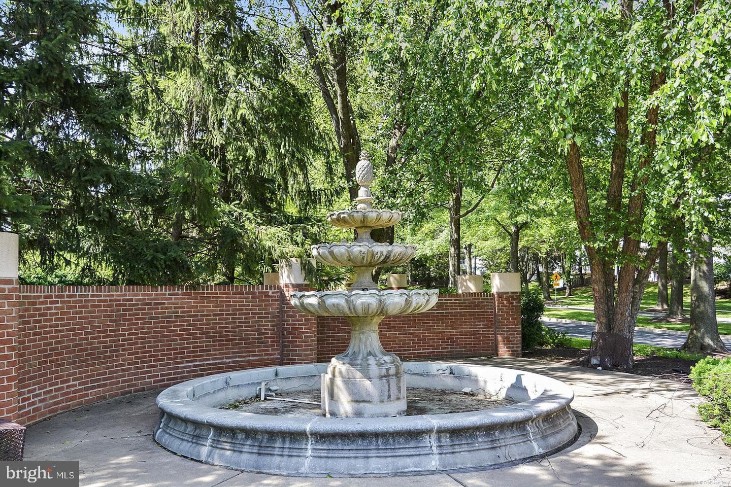 16 Wilcox Court photo 62