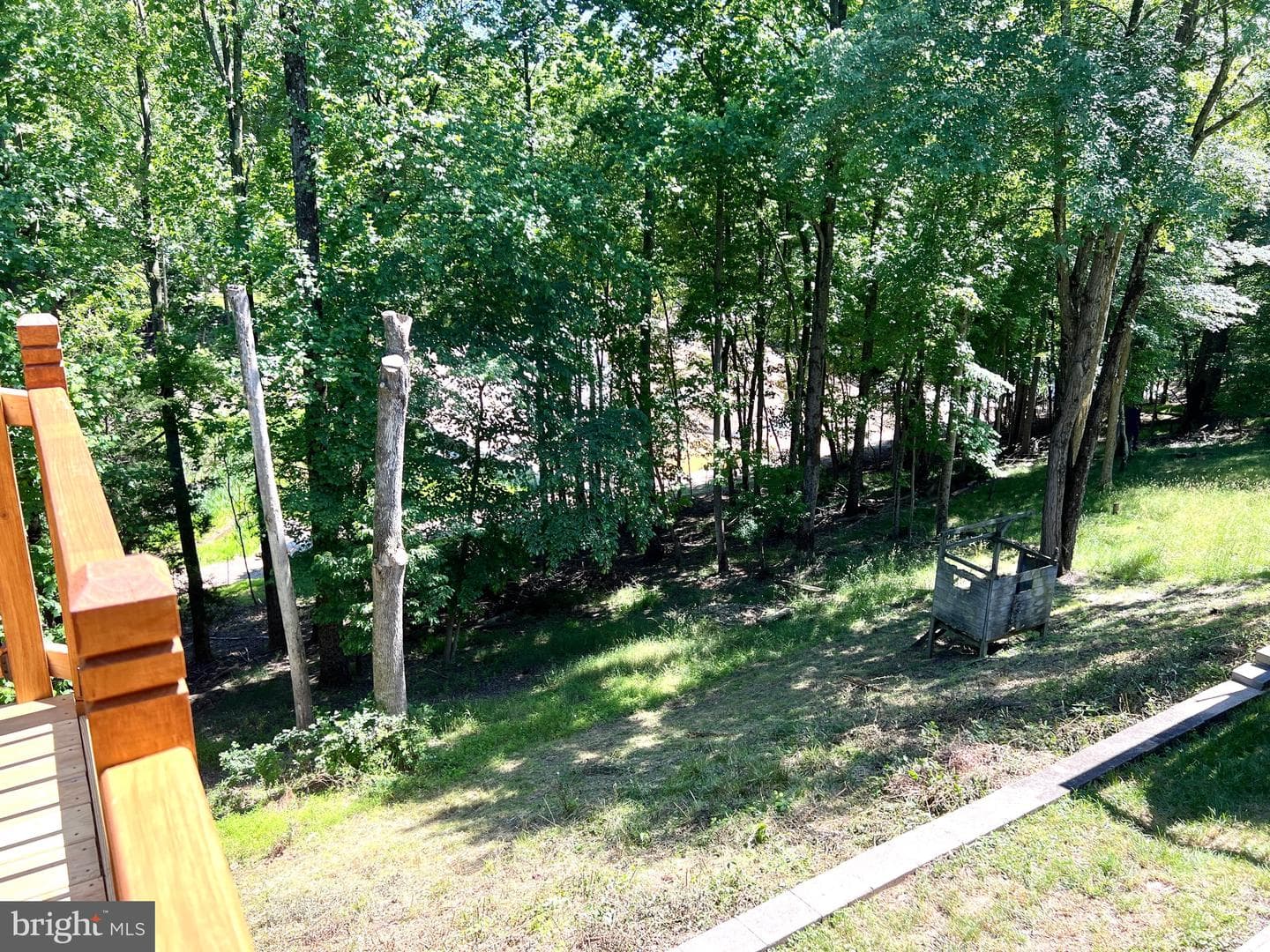 25258 Conrad Court photo 19