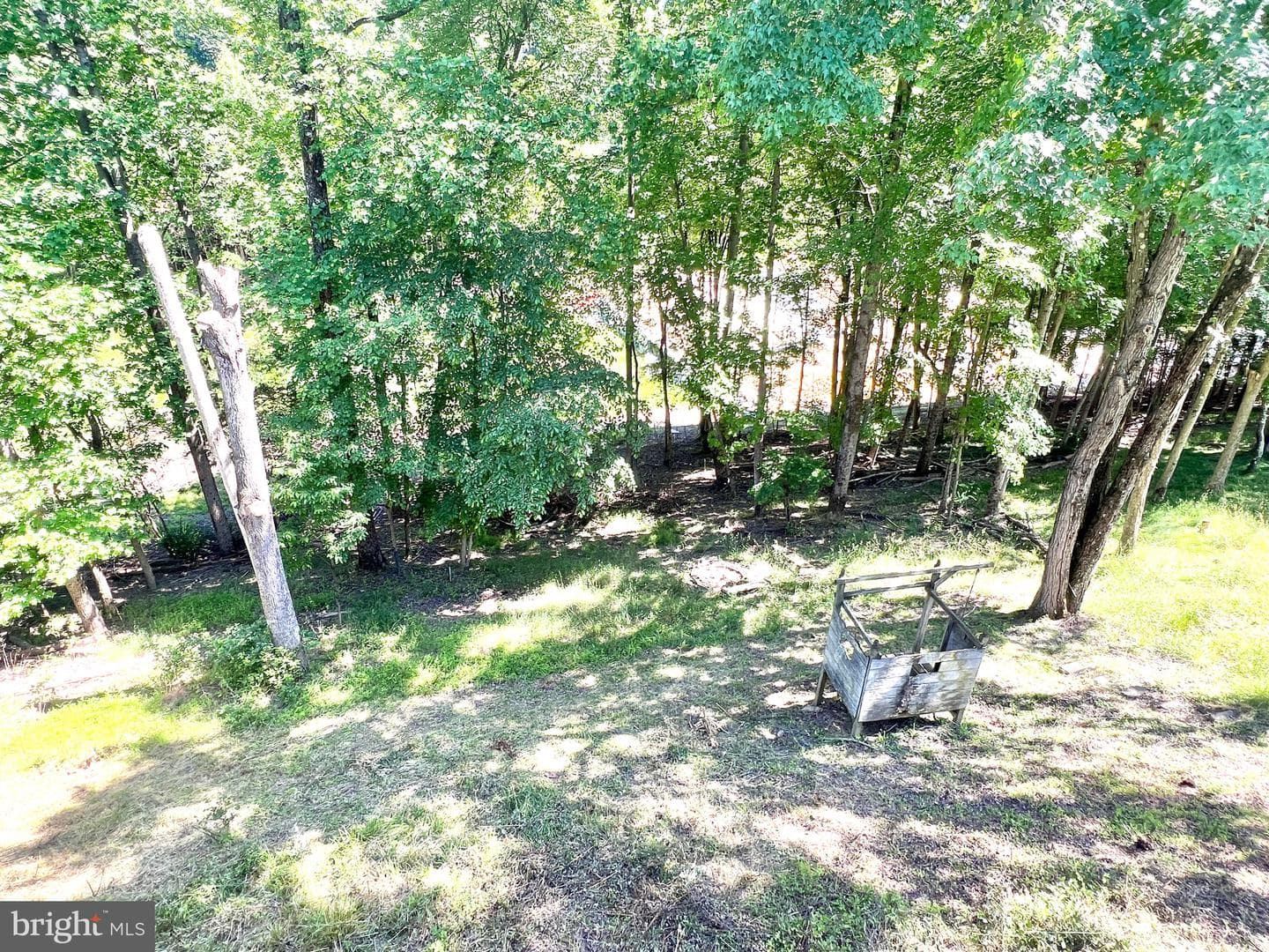 25258 Conrad Court photo 43