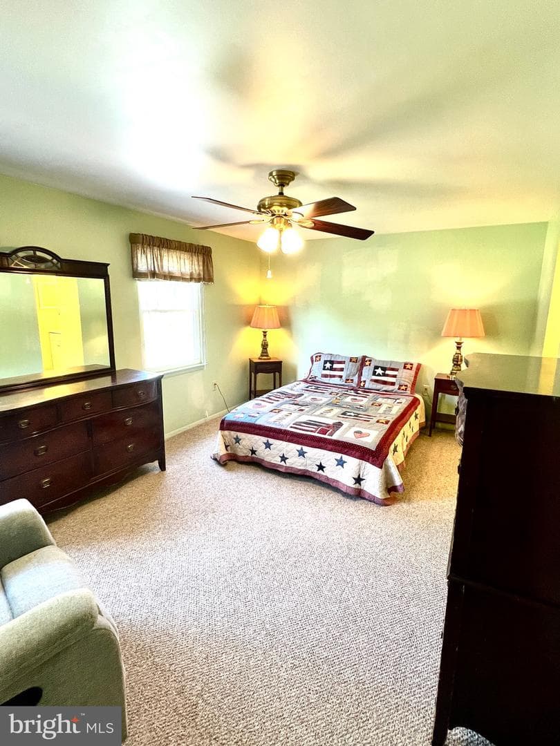 25258 Conrad Court photo 46