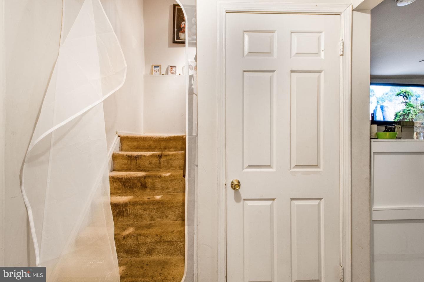 13115 Country Ridge Drive photo 6