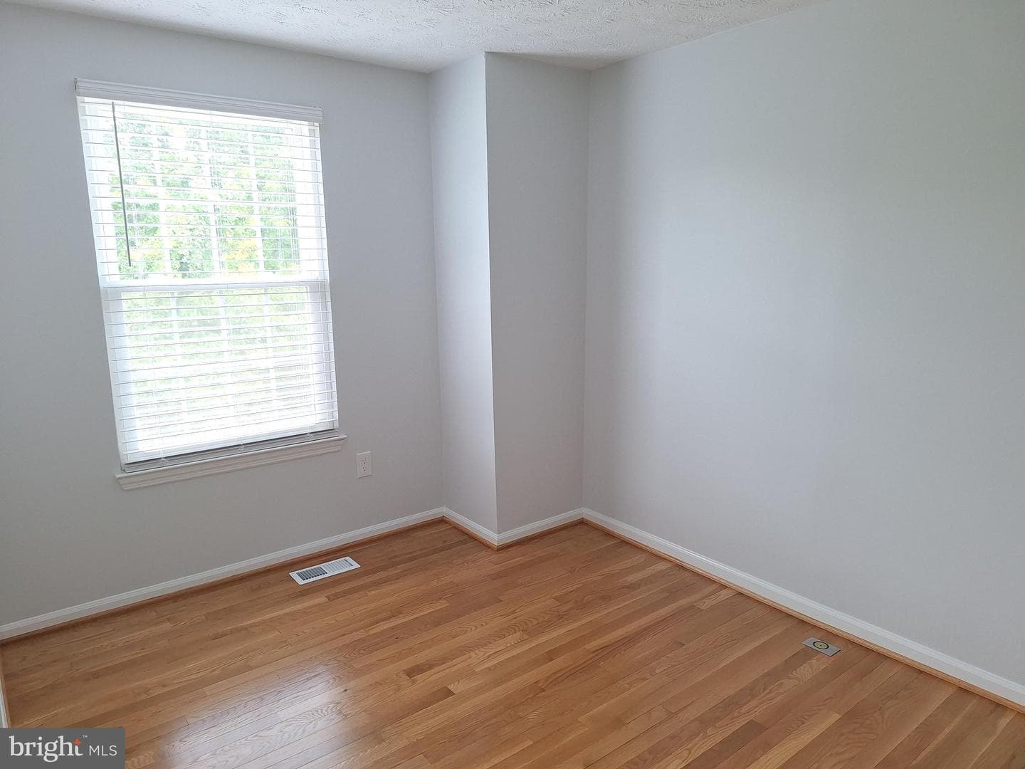 529 Coral Reef Drive photo 20