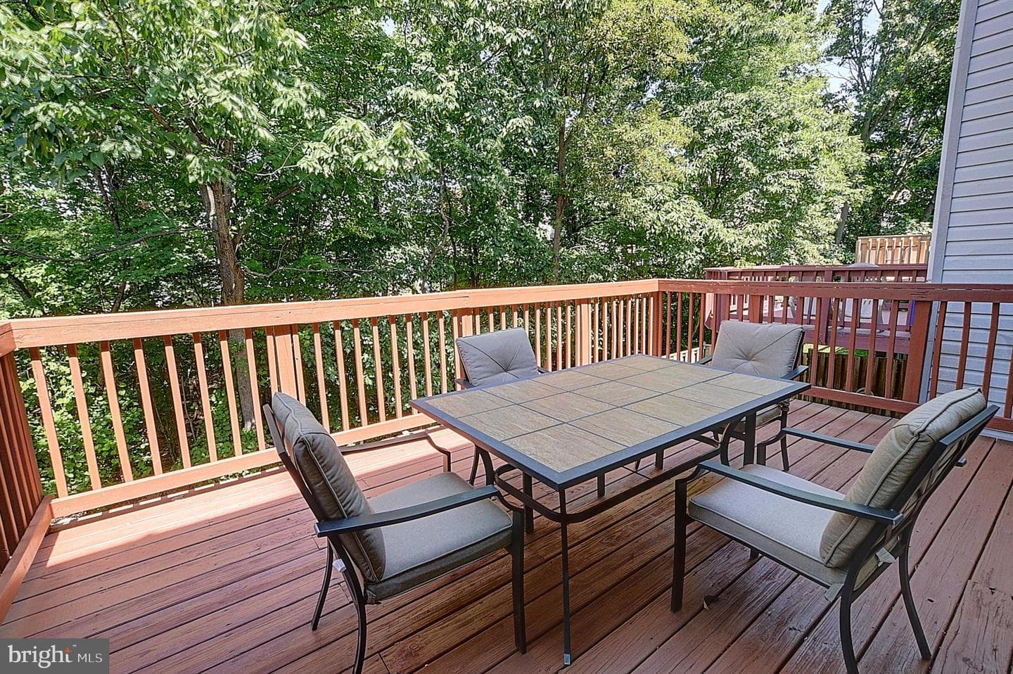 14807 McKnew Road photo 10