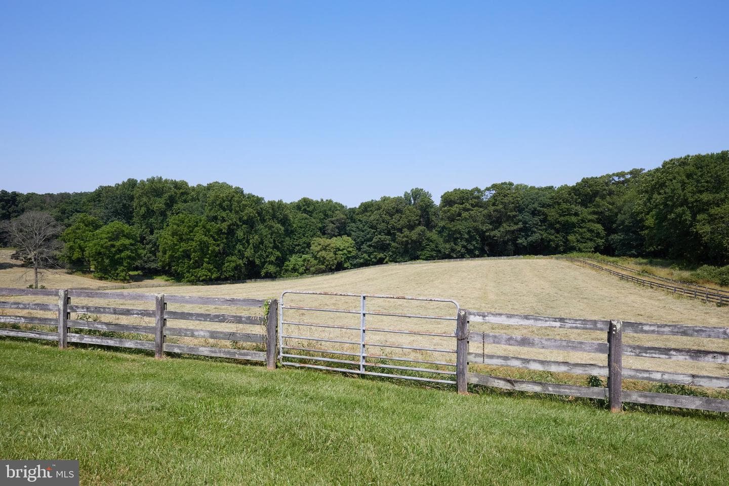 21520 Peach Tree Road photo 47