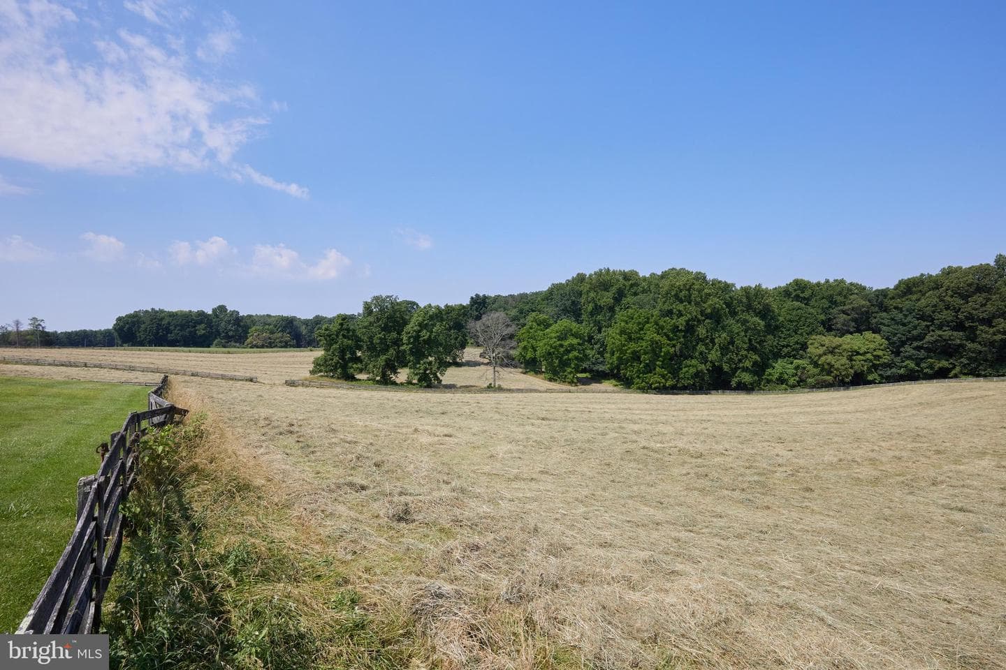 21520 Peach Tree Road photo 48