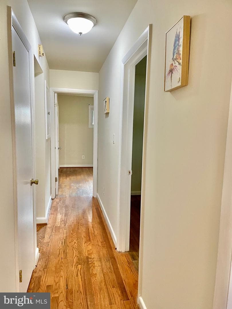 4503 Renn Street photo 17